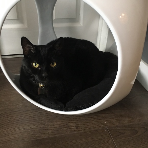 Meet your Posher, Heather - Picture 4 of 8